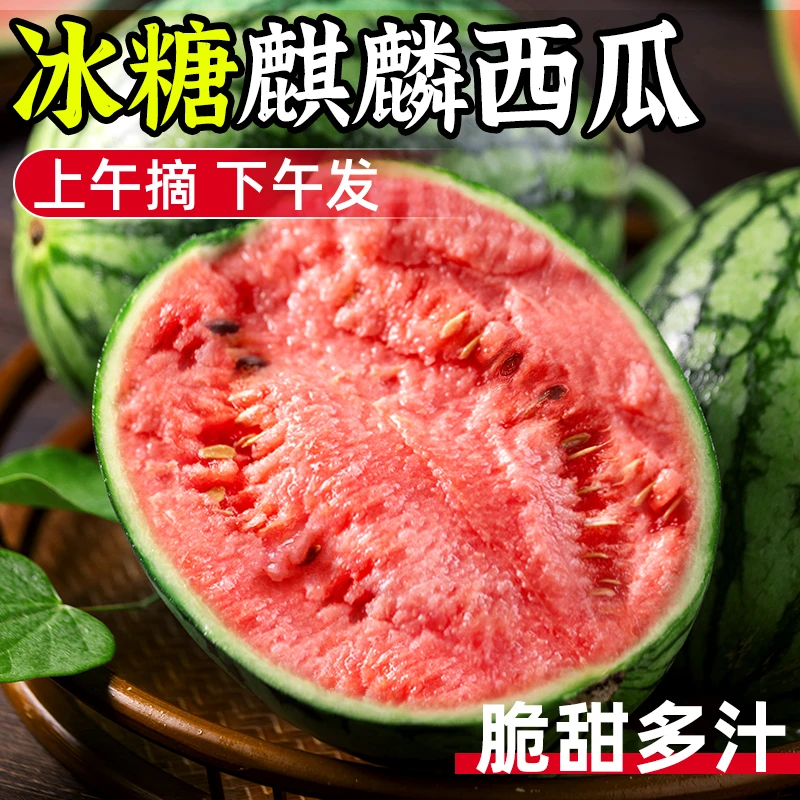 有籽麒麟瓜当季新鲜水果甘美薄皮美都8424大果整箱包邮手撕小西瓜