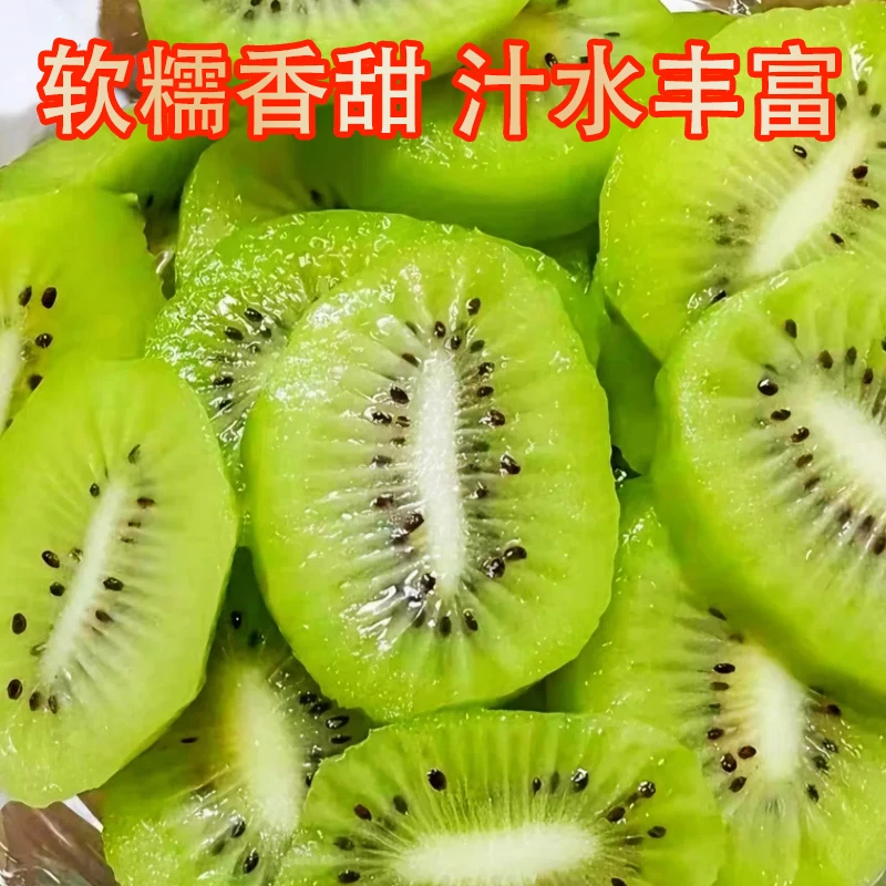 现摘现发绿心猕猴桃正宗湖南新鲜采摘孕妇可食精选大果坏果包赔