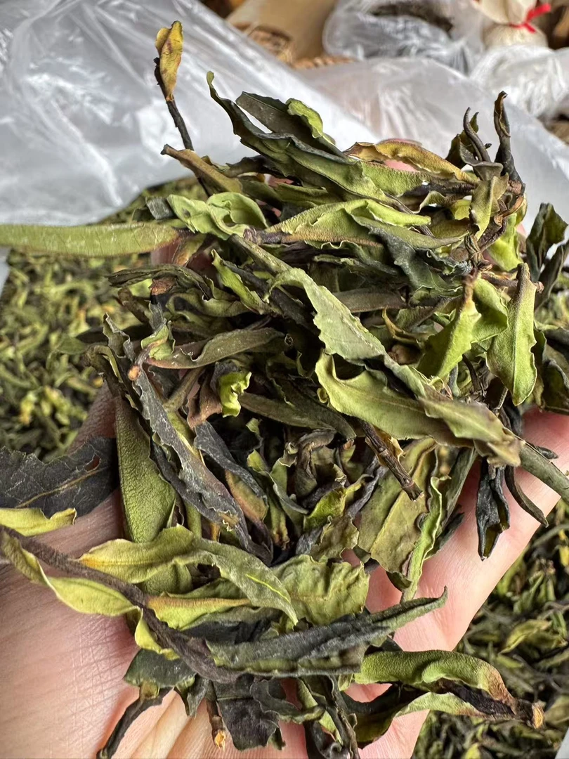 （岩家寨）千年古树野生单株