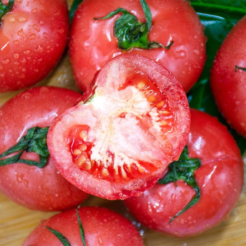 【沙瓤西红柿新鲜生吃】攀枝花番茄水果自然熟批发带箱