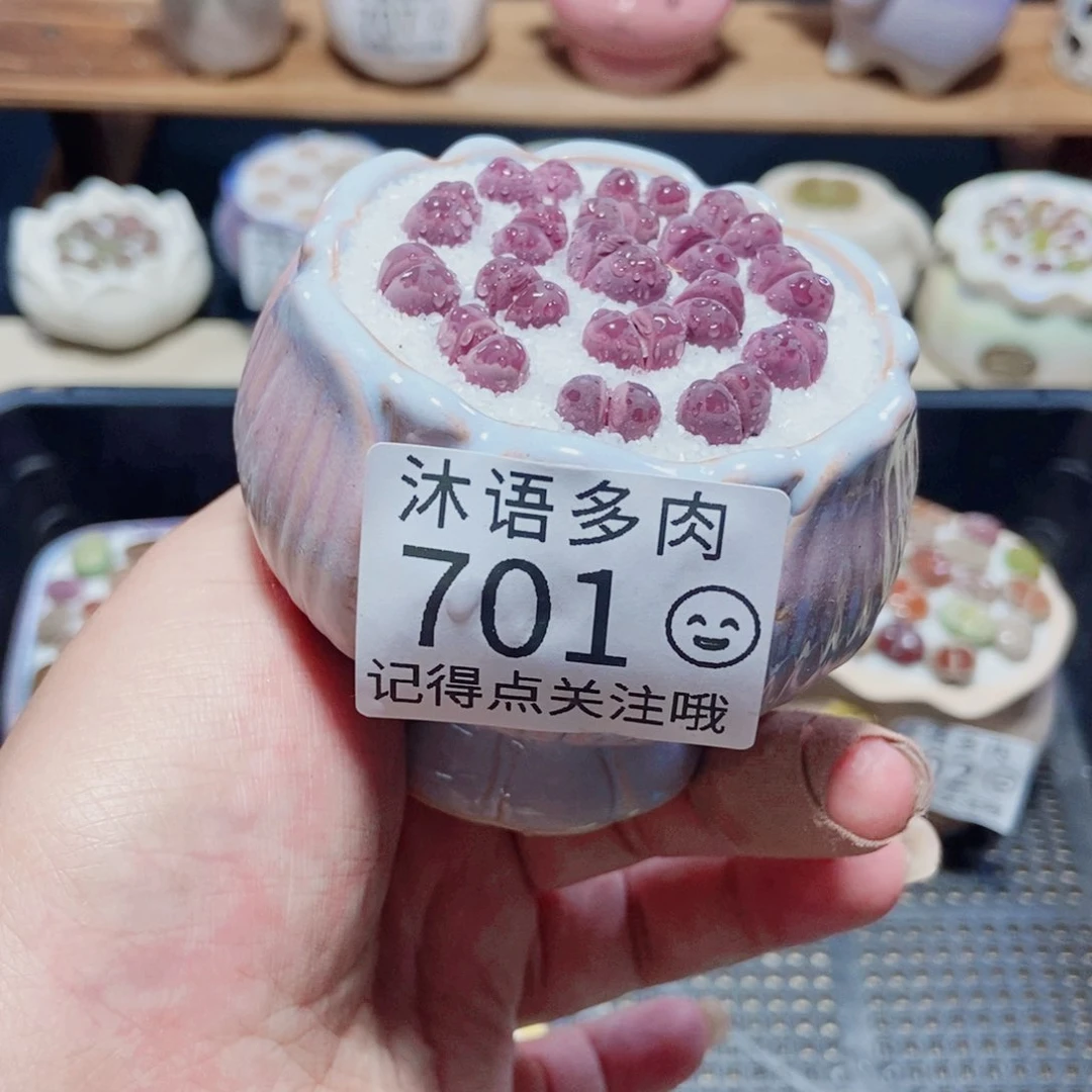 一物一拍 所见即所得 701