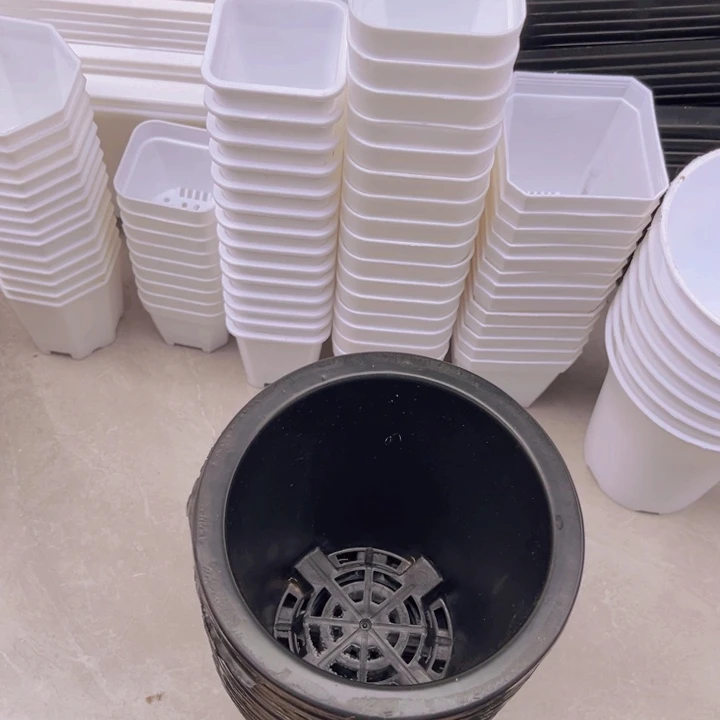 黑方万象口12高13一组10个