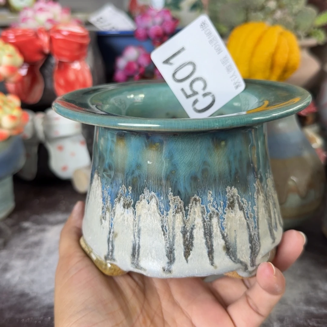 重庆小燕子欢迎大家501