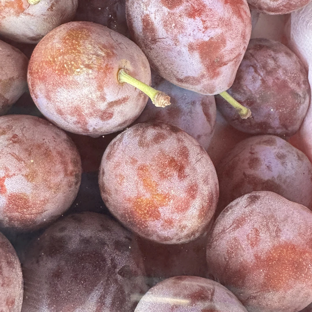 礼盒特大西梅  约4.5斤