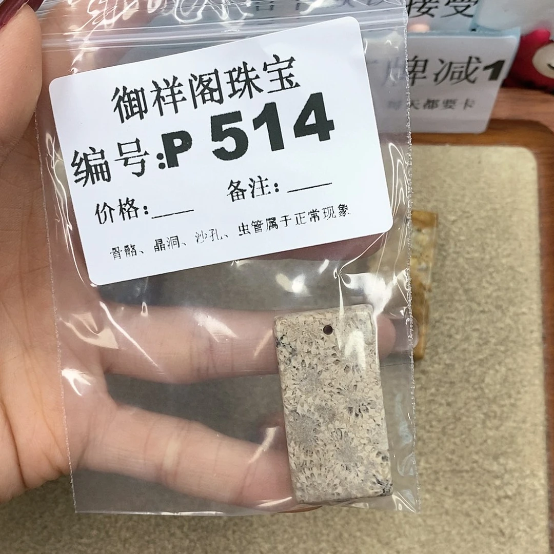 硅化珊瑚（珊瑚玉）P未镶嵌籽*