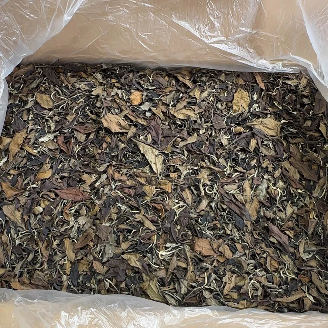 茶壶紫砂广别古树白半斤