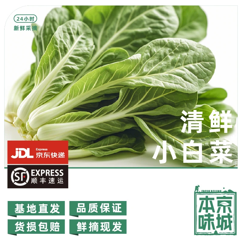 房【老太太家的菜园子-小白菜】1斤装脆嫩清甜嫩鲜小白菜