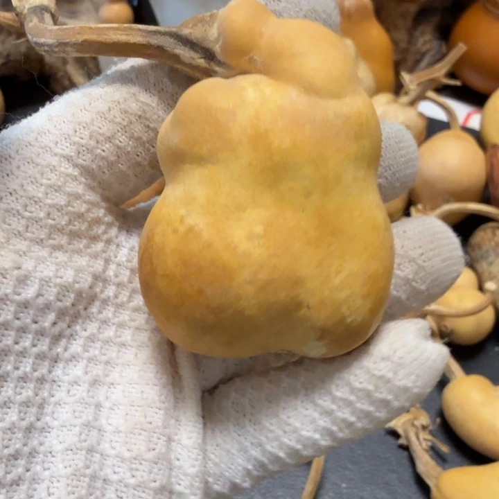 心***安刷子印6666666666667777