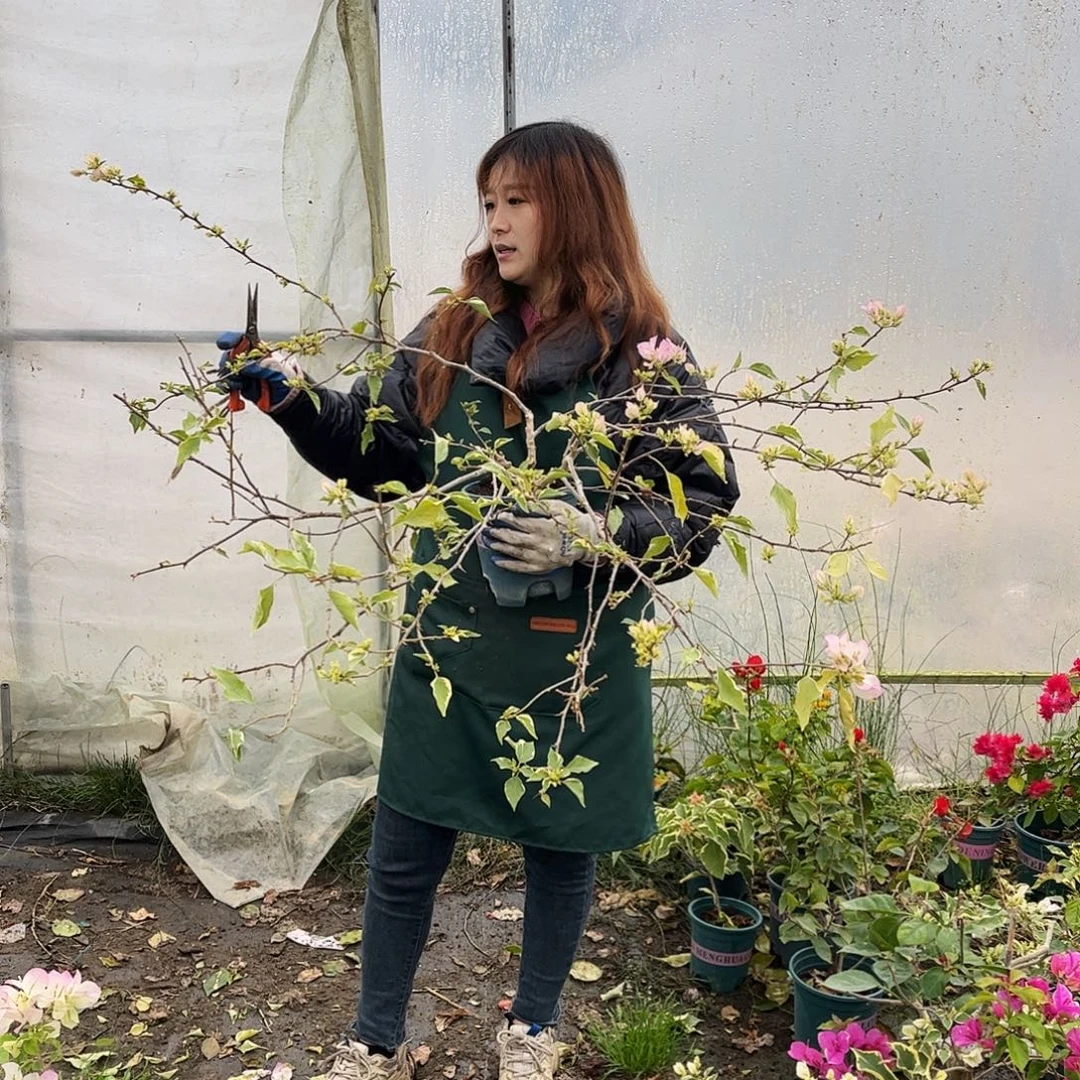 无花朵哈哈哈哈哈哈哈哈