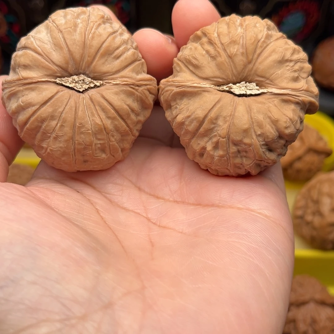 【闪购商品】大叶紫檀（黑酸枝木类）5***7文玩核桃手把件44南瓜