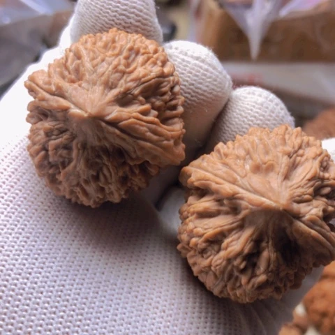 【闪购商品】桃核吊坠.*.蒜头狮子头