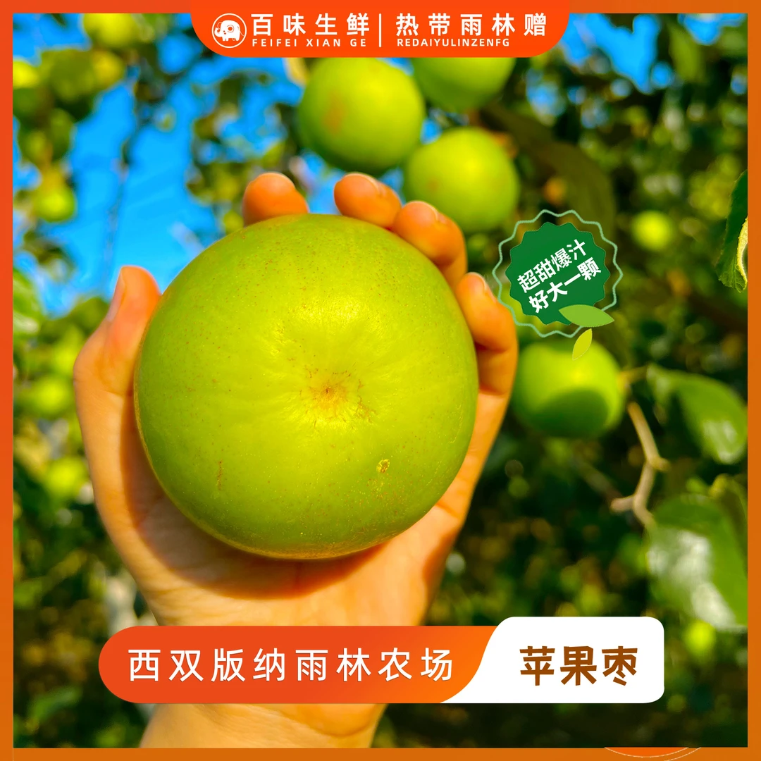 西双版纳糖斑苹果枣好吃水分充足甜度高香气浓冬枣酥脆产地仓直供