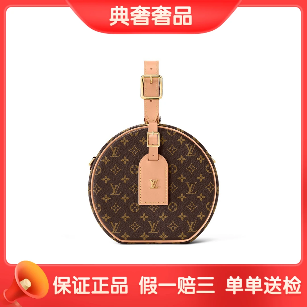 95新 LouisVuitton/路易威登 经典老花硬圆饼/单肩包