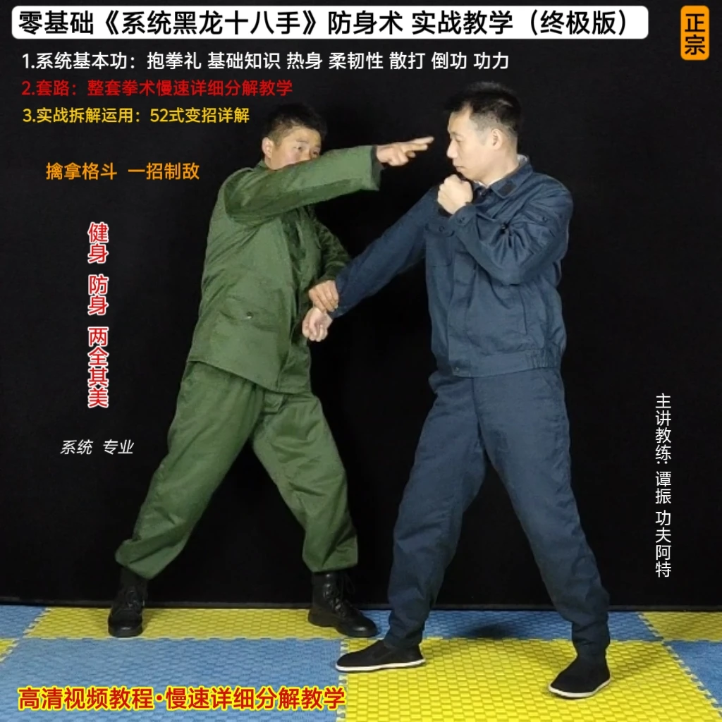 终极版《黑龙十八手•基本功+套路+变招》精讲教程（视频课联系客服）