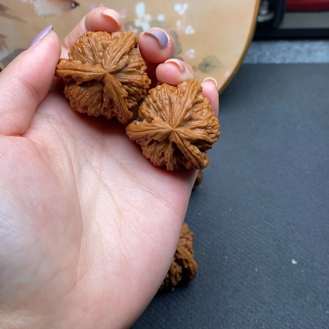 6*白狮子1111111111