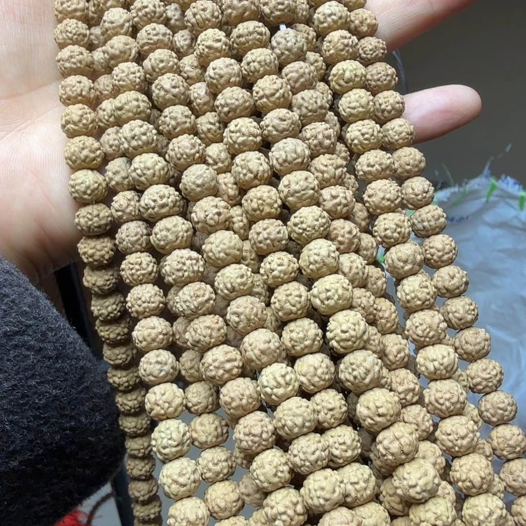 金刚菩提吊坠金蝉蛤蟆背 1条  非全品