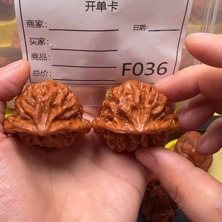 A***A核桃蛇王蛇王43蛇王
