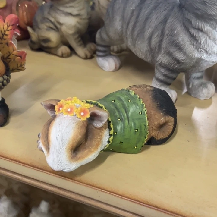 瓷片孤品样品微瑕不退不换介意勿拍