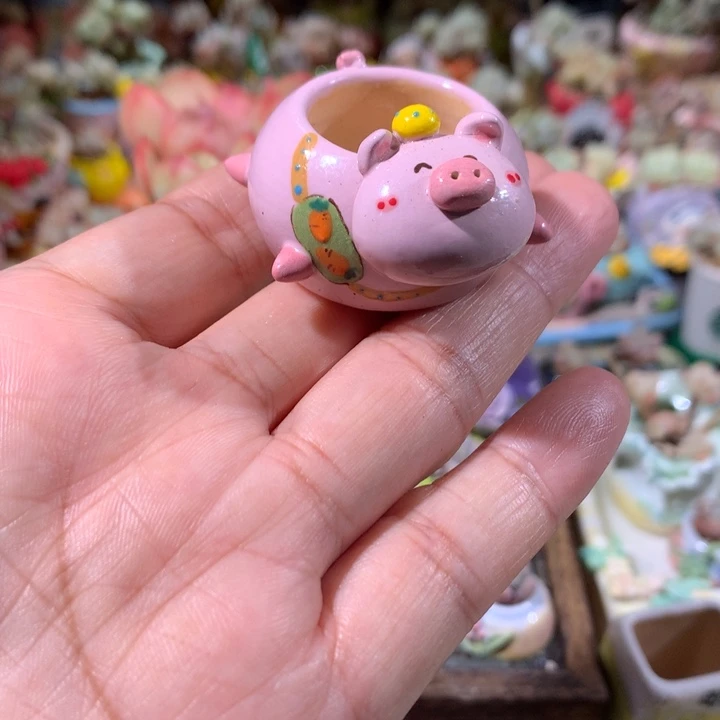 1号  内口2.5  满100包邮