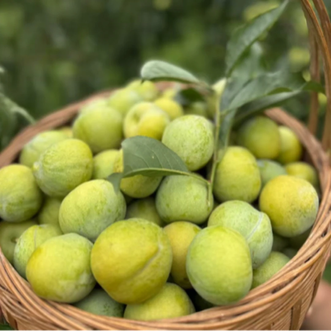 【顺丰】农家自种新鲜水果四川土李，带箱5斤