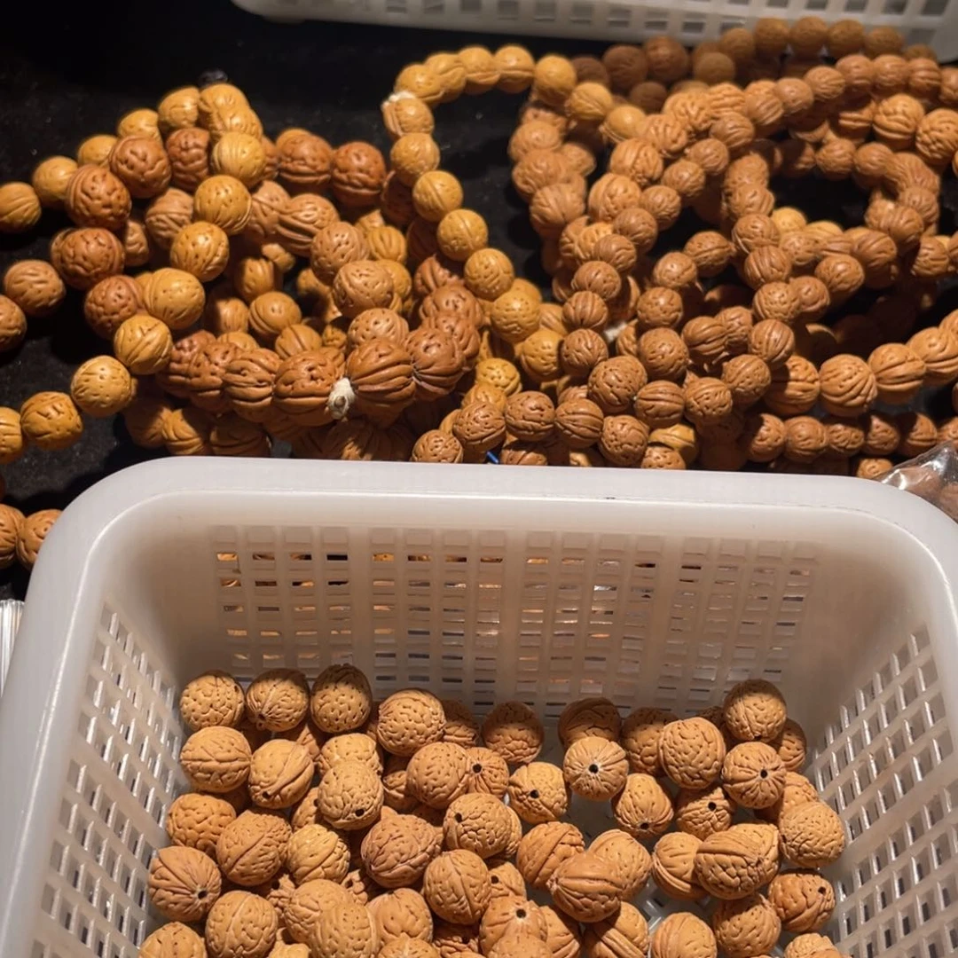 【闪购商品】尘*散子批发180米