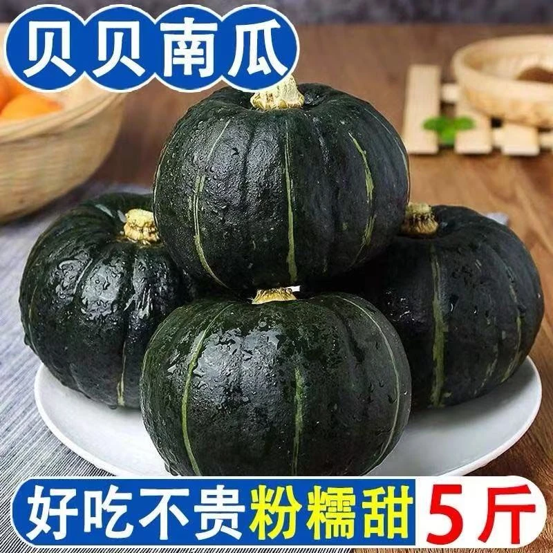 【正宗贝贝】S贝贝南瓜新鲜上市板栗味粉糯香甜适合宝宝辅食