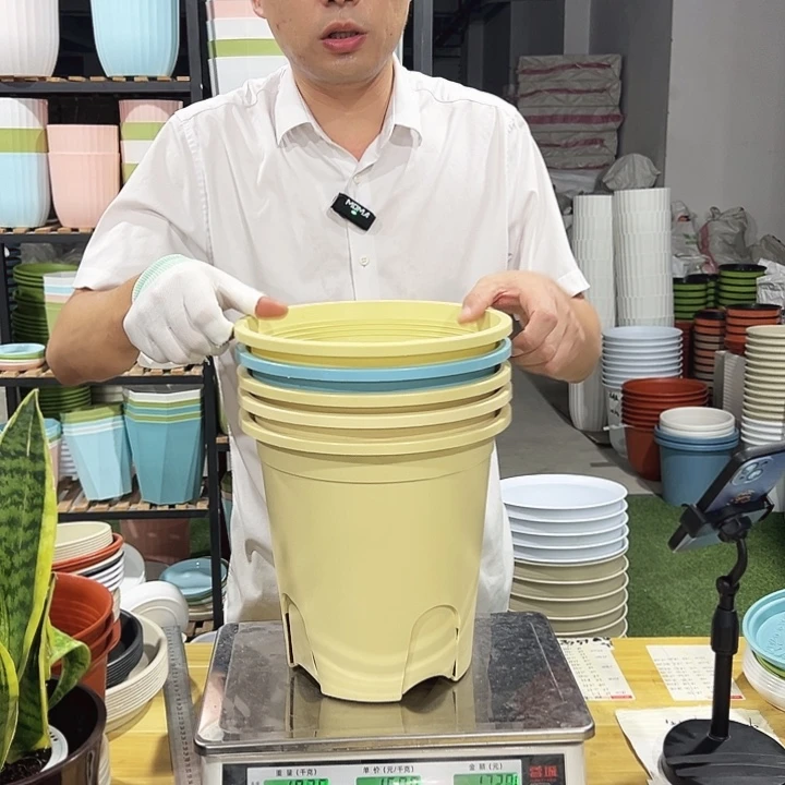 圆形控根口24高24混色5只无托