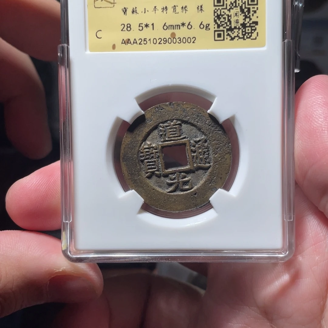 铜琳琅古泉道光特宽缘样钱3002