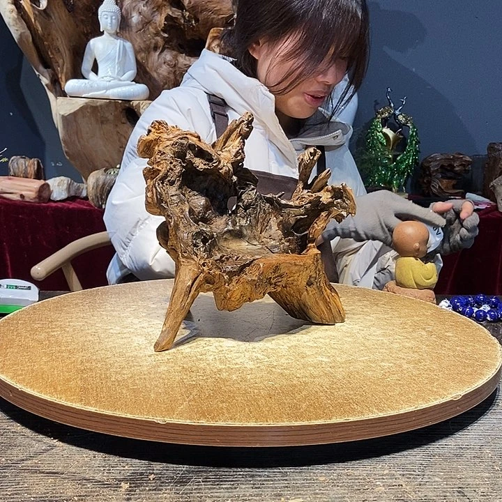 糖*940株木随行的小根艺