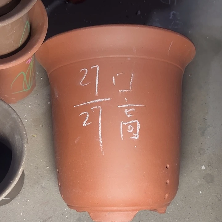 周深周深周深周深