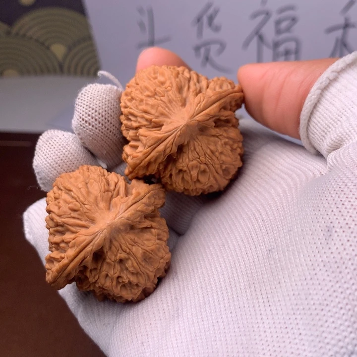 壮***云南疆99年中小学教学改革