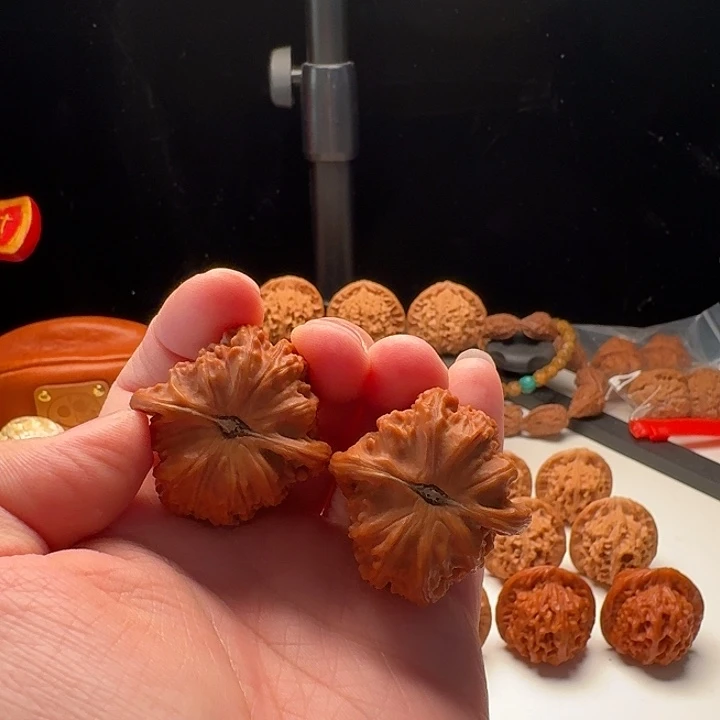 凡***。白狮子全品111111