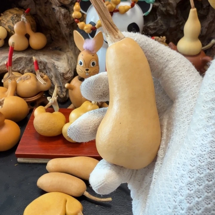 嗯***。6…………………………………………