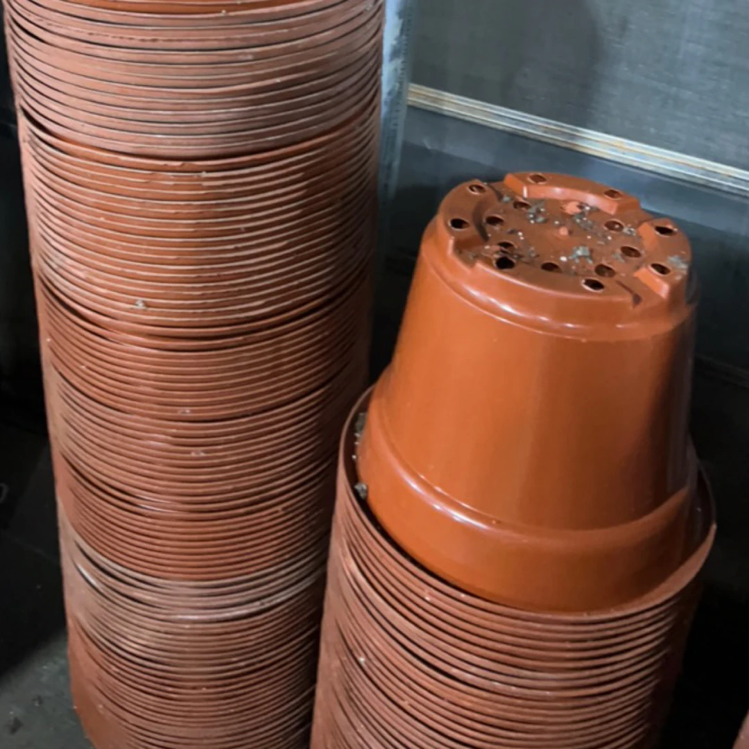 多肉旧花盆，新红圆盆33口径25.5高 3个