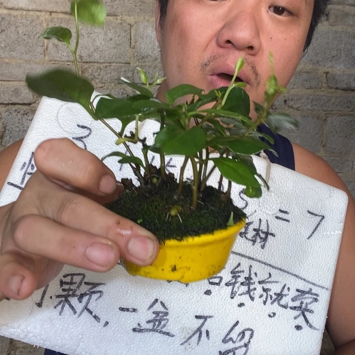 退款拉黑一物一拍14