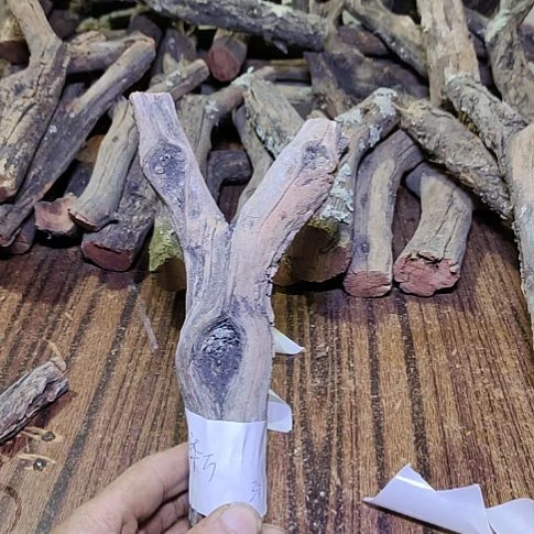 柒****火琉璃原杈，不保沉水，慎拍！