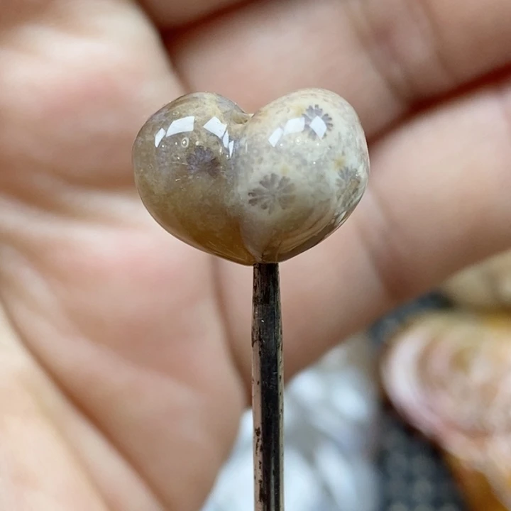 颈饰未镶嵌硅化珊瑚（珊瑚玉）