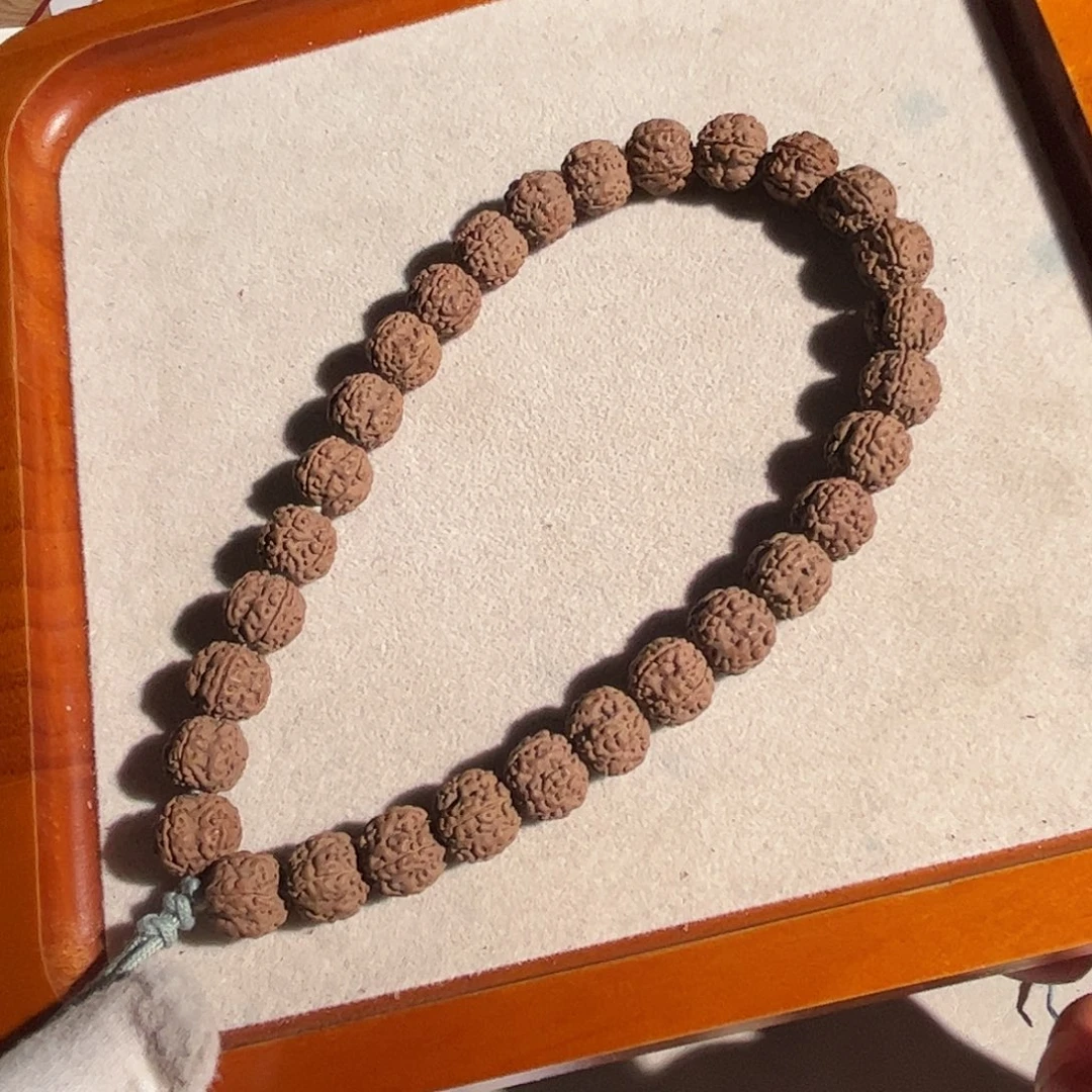 吊坠金刚菩提老树梅花花王