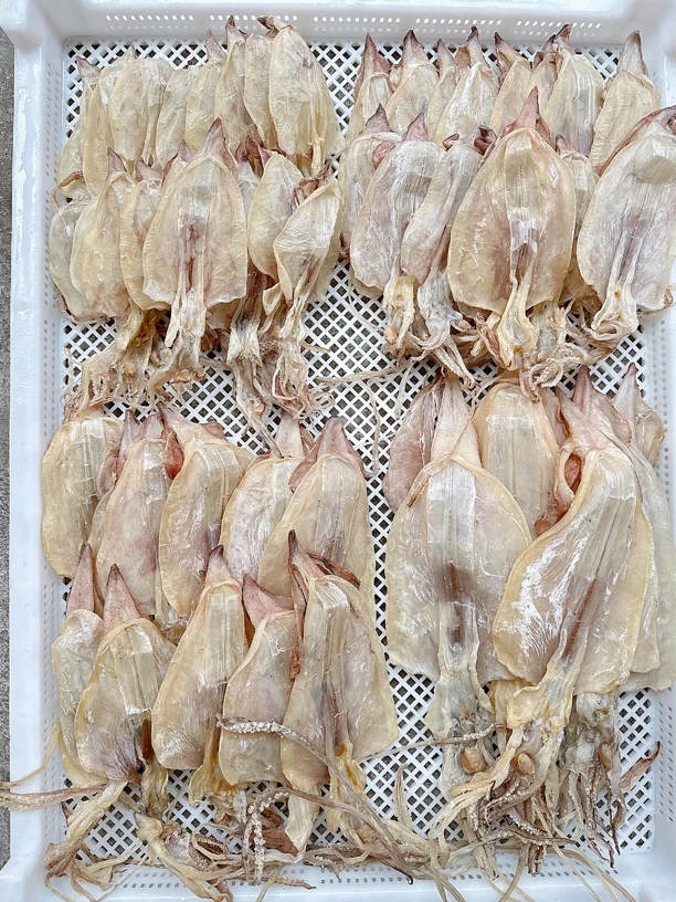 碣石南海本港鱿鱼干