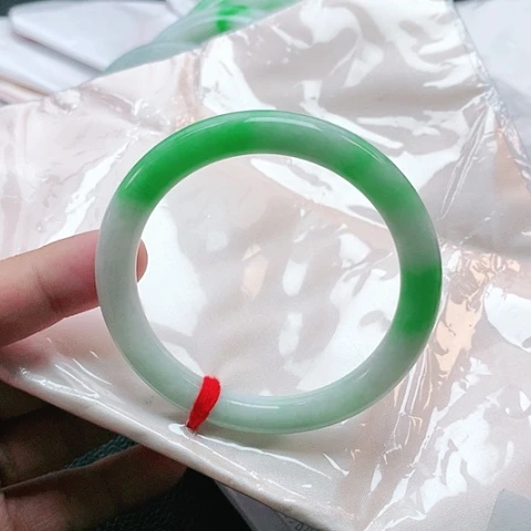 未镶嵌手镯翡翠2656