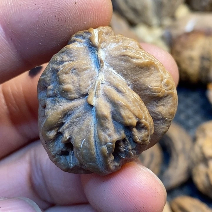 文玩核桃吊坠娜姐111