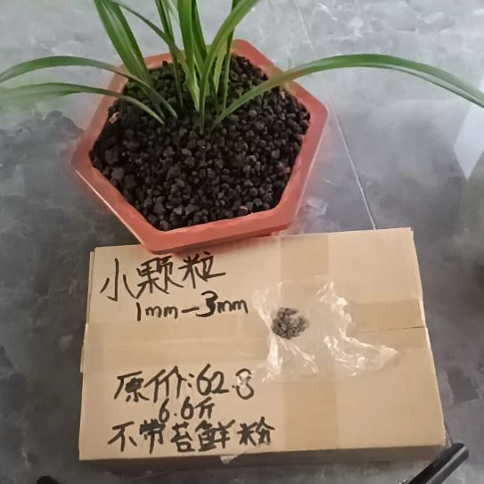 D***芽兰菌黑山土小颗粒6.6斤