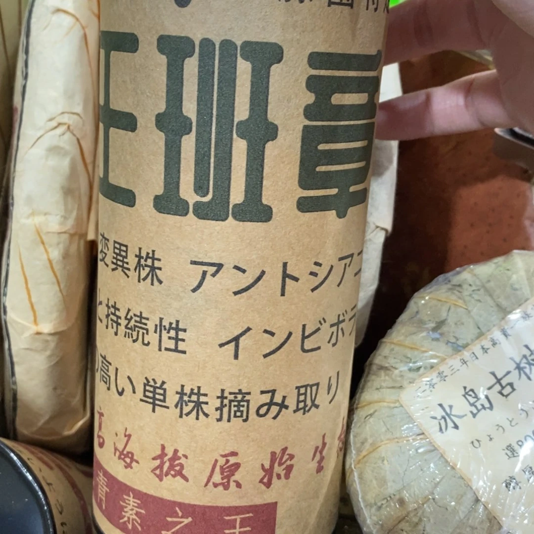 紫砂哈哈哈哈哈哈哈哈哈哈哈