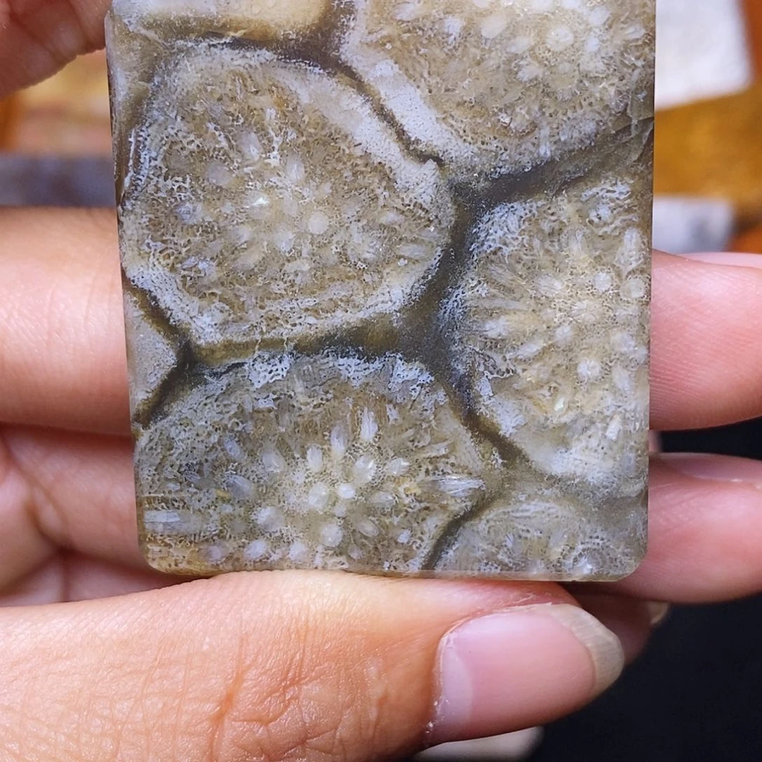 不***不硅化玉合金珊瑚玉