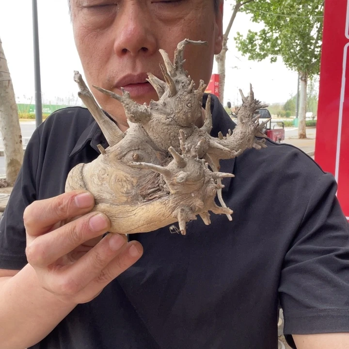 用****2我们都是好孩子呀