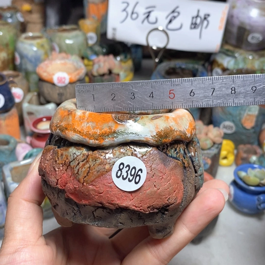 拍3送一个小礼物
