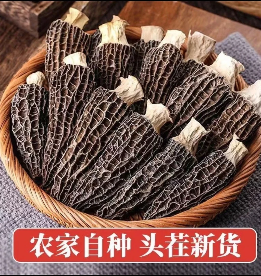 云南羊肚菌干货农家羊肚菌4-7