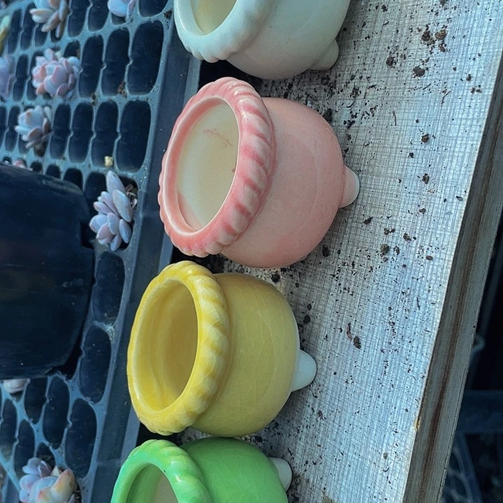 4个陶瓷盆4个颜色一组