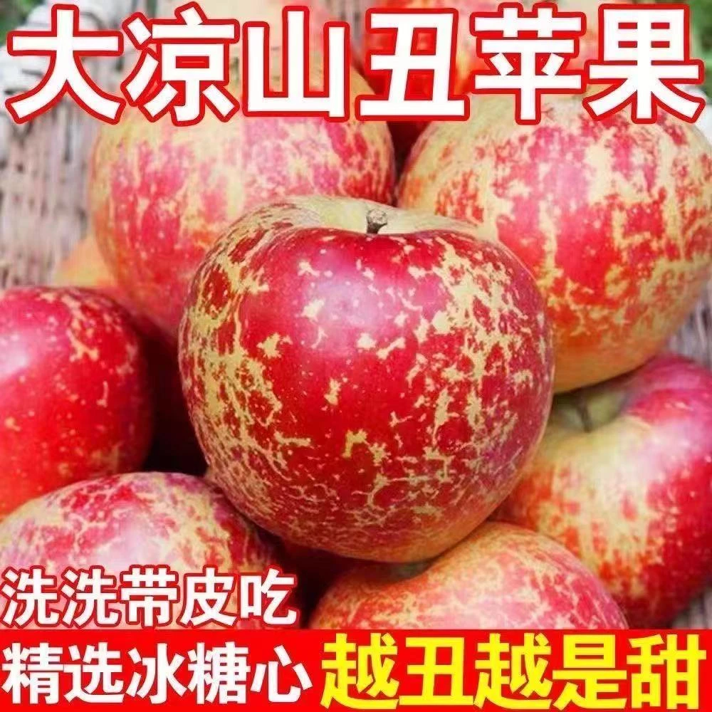 【头茬新果】四川大凉山丑苹果脆甜多汁现摘现发新鲜水果红富士MT