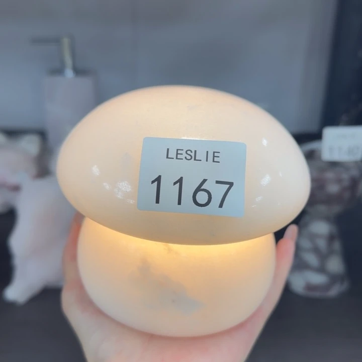 X1167.                 灯
